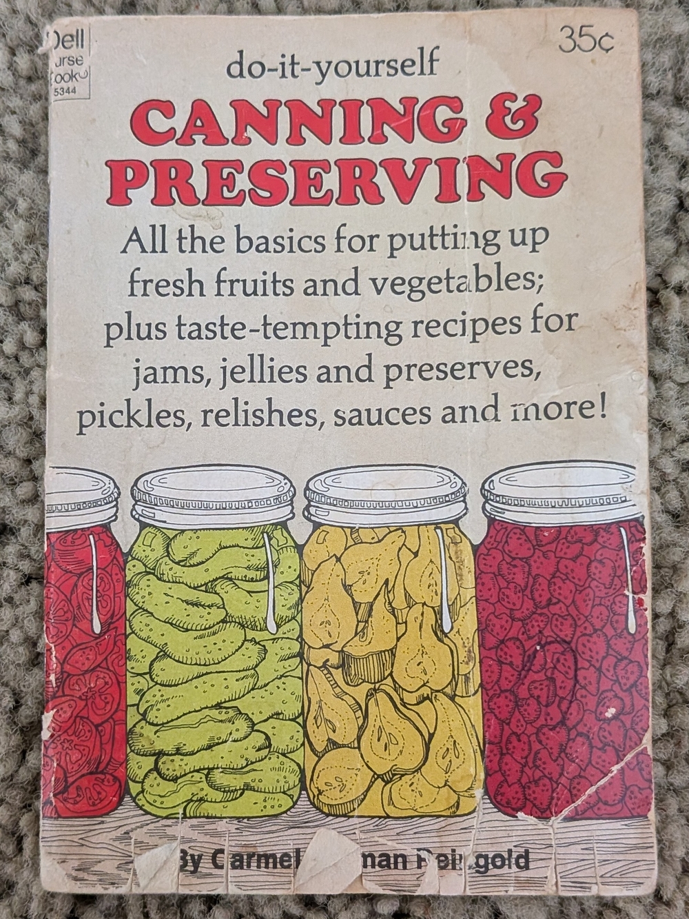 Vintage 1970s Mini Cookbook: "Do-It-Yourself Canning & Preserving"